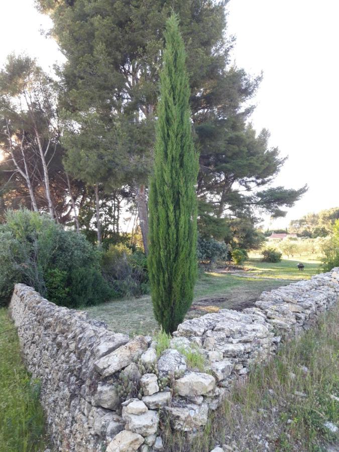 Le Clos De La Pinède Сasa de vacaciones *