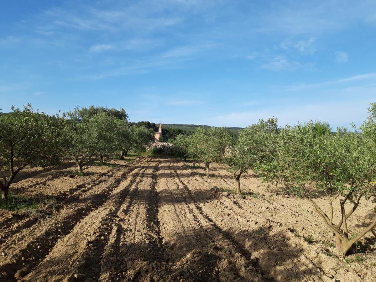 Le Clos De La Pinède Сasa de vacaciones Le Castellet (Var)