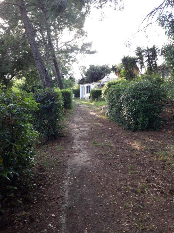 Le Clos De La Pinède Сasa de vacaciones *