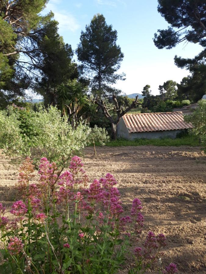 Le Clos De La Pinède Le Castellet (Var)