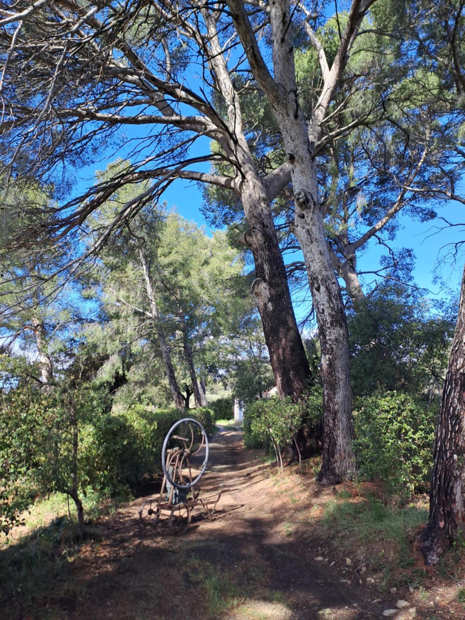 Le Clos De La Pinède Сasa de vacaciones Le Castellet (Var)