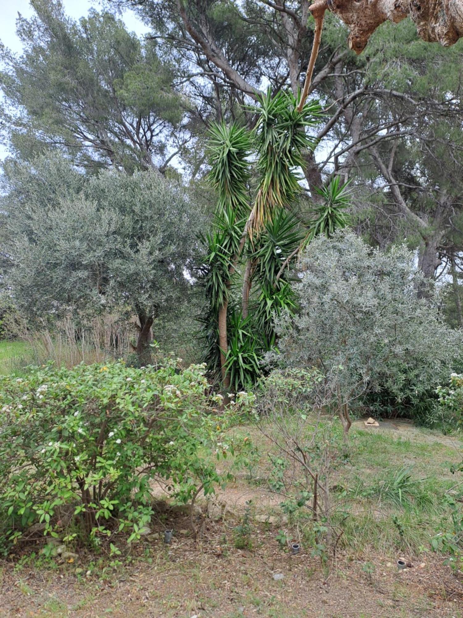 Le Clos De La Pinède Hébergement de vacances